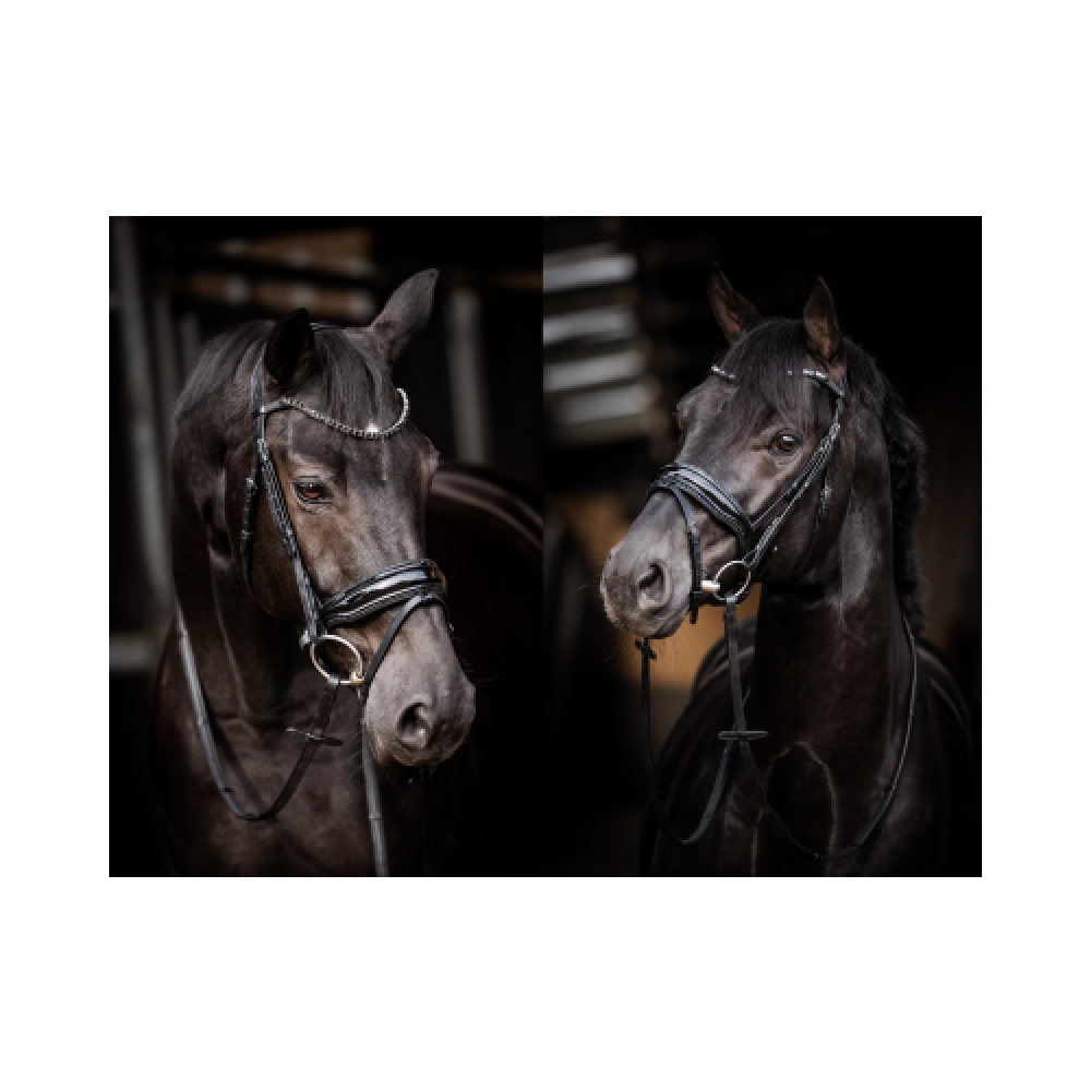 Showtime Evalira Zwart/Zwart