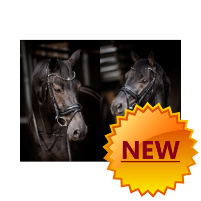 Showtime Evalira Noir/Noir