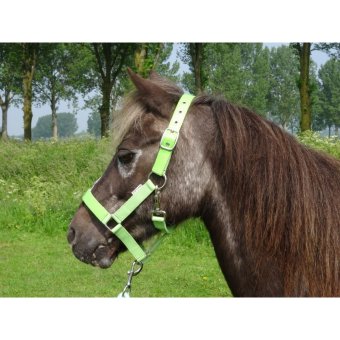 HB Halster Lak Shine Shetland