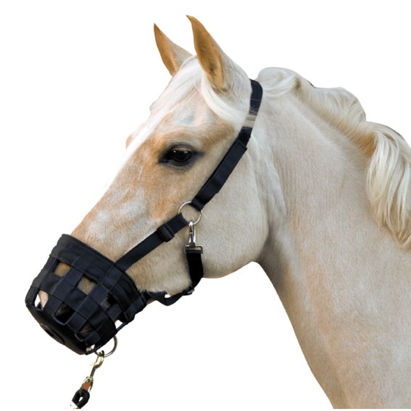 HKM Nylonhalster met muilkorf / Graasmasker