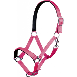 Licol -Stars Softice-, doublure douce Rose