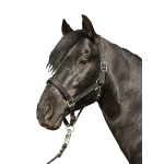 HKM HEAD COLLAR CRYSTAL