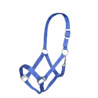 Licol -Innsbruck- Bleu
