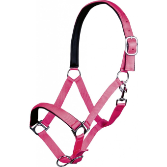 Halster -Stars Softice- Roze