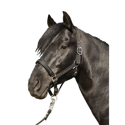 HKM HALFTER KRISTALL