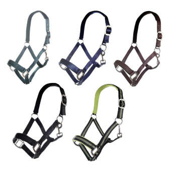 HKM Halster Aarau zacht onderlegd