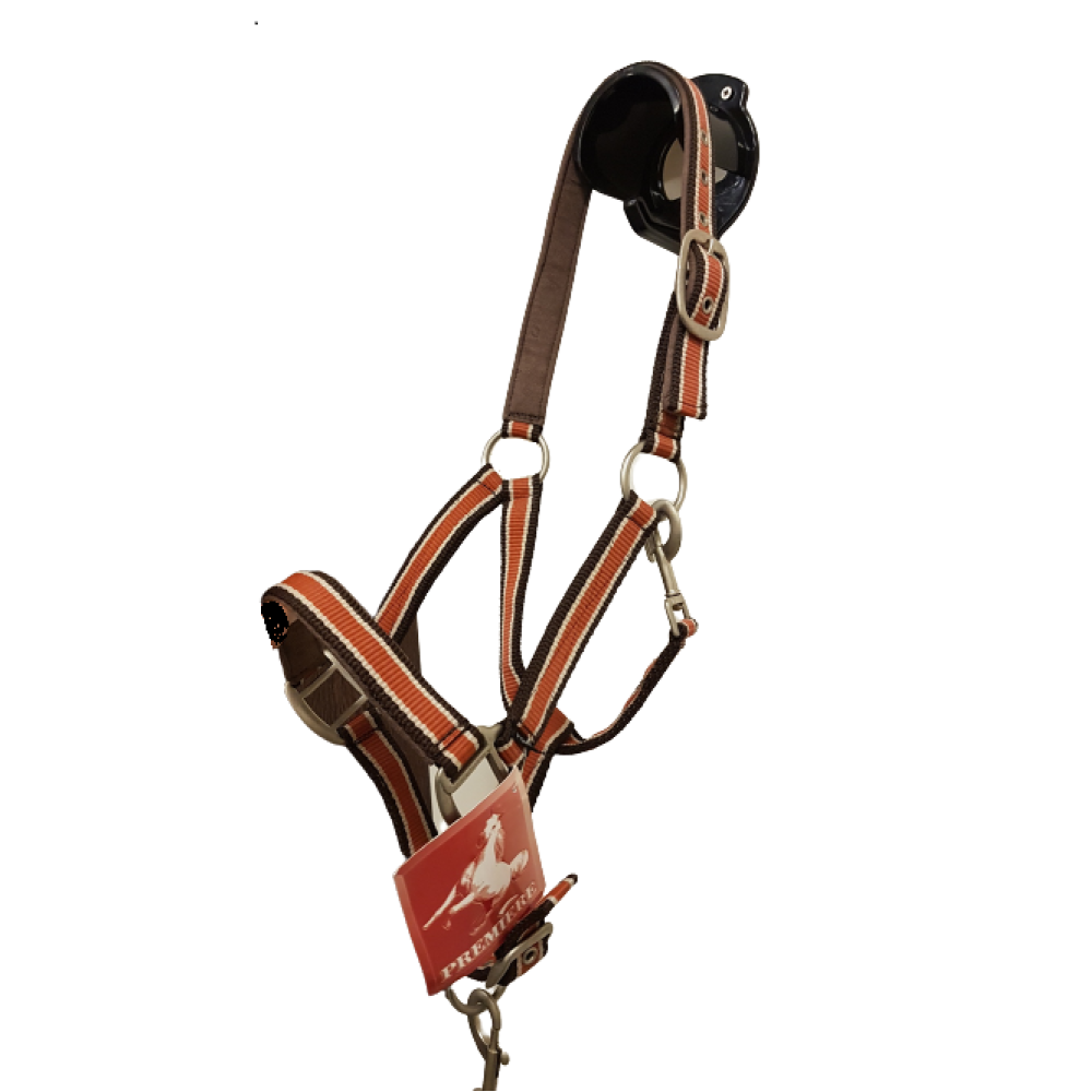 Premiere Halsterset Terra Pony