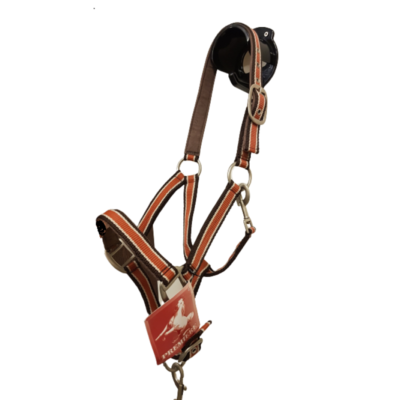 Premiere Halsterset Terra Pony