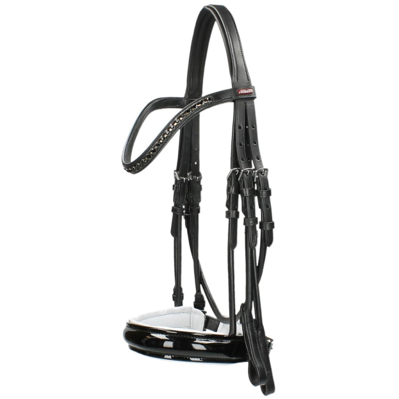 Premiere Paris Stangtrens COB