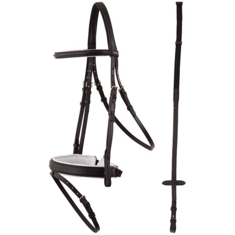 Premiere Hoofdstel Toulon w.o.COB