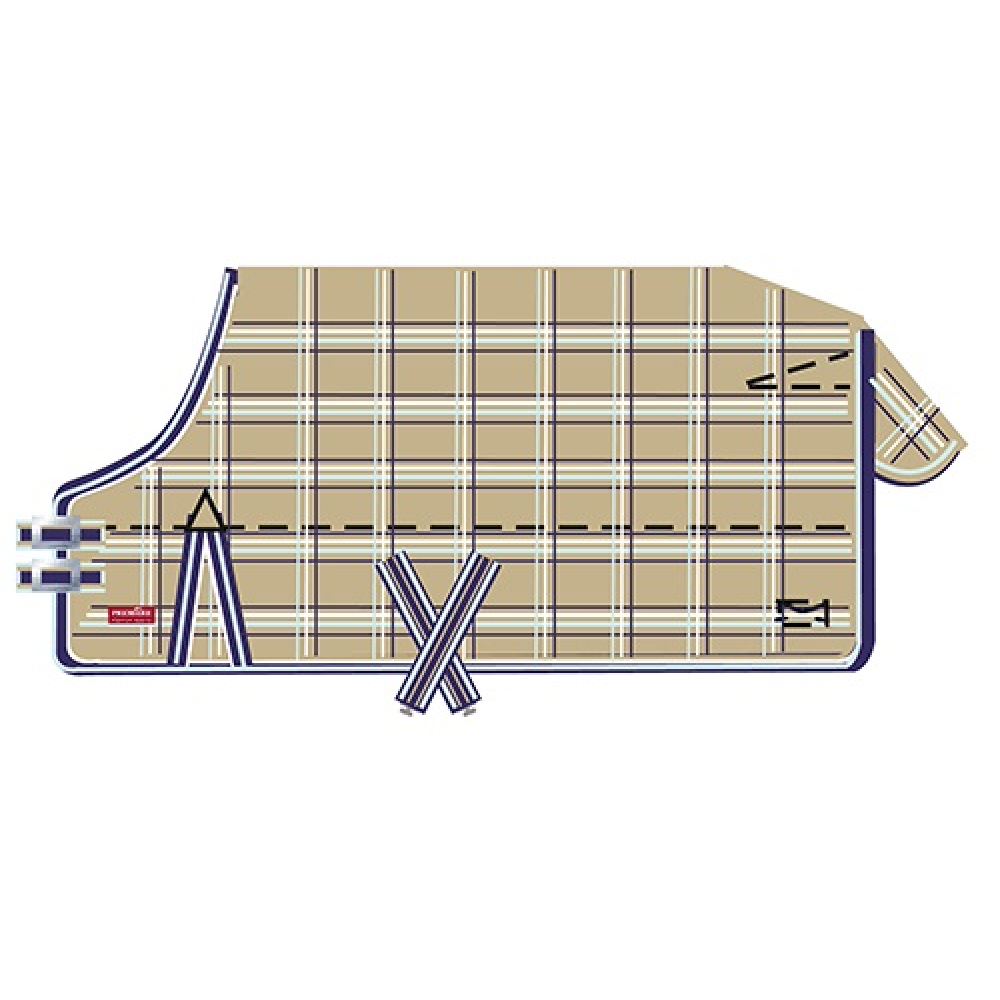 Première regendeken 195