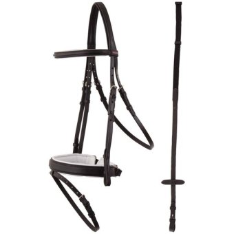 Premiere Hoofdstel Toulon w.o.COB