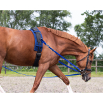 Side Reins Cobalt Blue