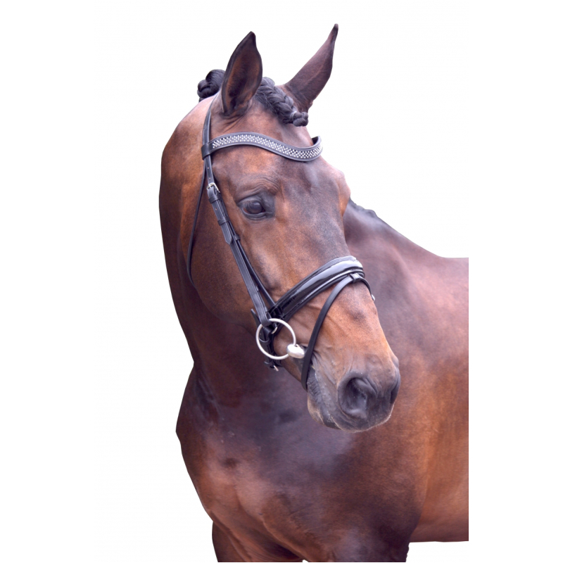 QHP Hoofdstel Pallas Pony