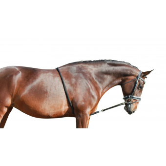 QHP Longeerhulptouw katoen XL