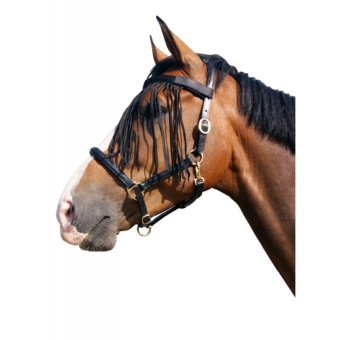 QHP Vliegenfrontriem Pony