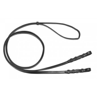 Teugel Kandare leder