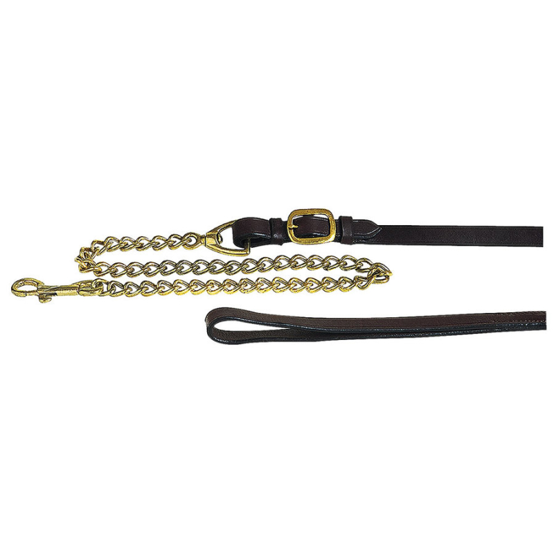 Apollo presentatie halsterlijn