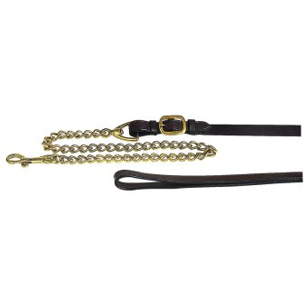 Apollo presentatie halsterlijn