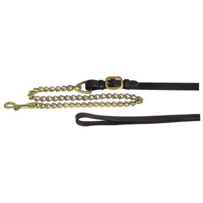 Apollo presentatie halsterlijn