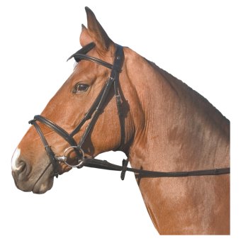 BR hoofdstel Mahonie