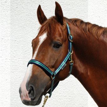 Bucas Halster Dublin 3Color