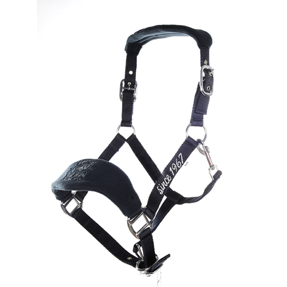 Halster 50 Year Edition