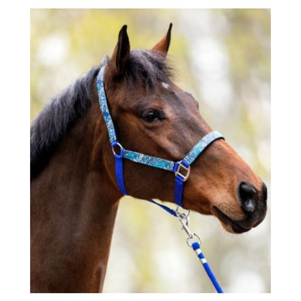 Halster Fantasie Royal Blue