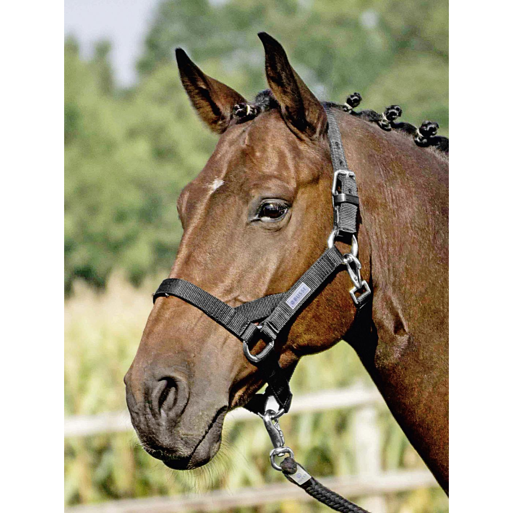 Halster STRONG HO II Zwart