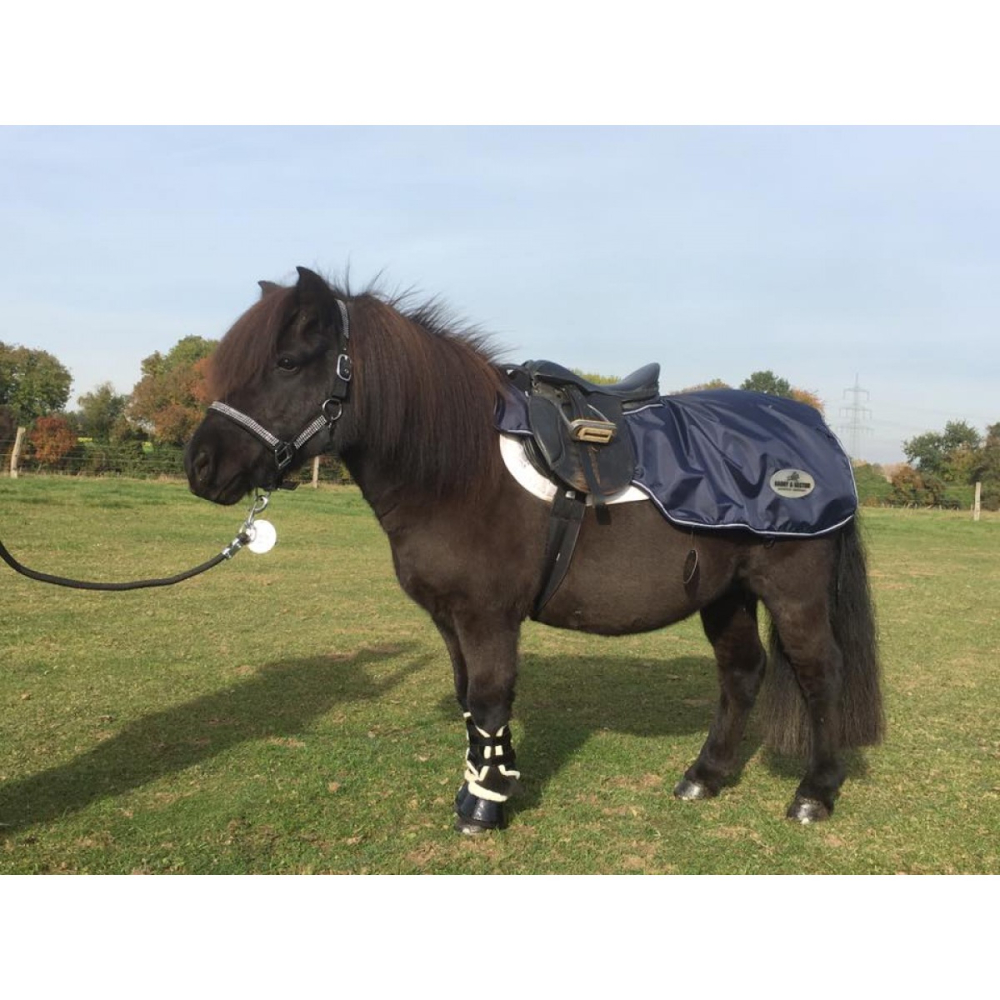 Harry  Lector Uitrijdeken