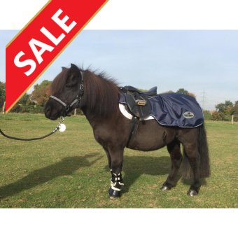 Harry  Lector Uitrijdeken