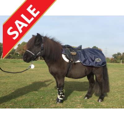 Harry  Lector Uitrijdeken