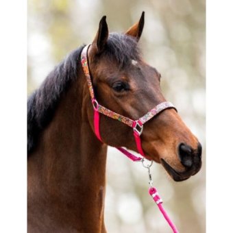 Halster Fantasie Fuchsia