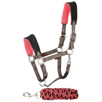 Halsterset Terry Pony