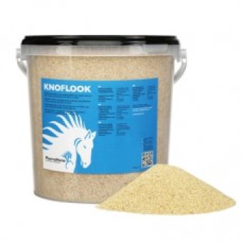 Knoflook