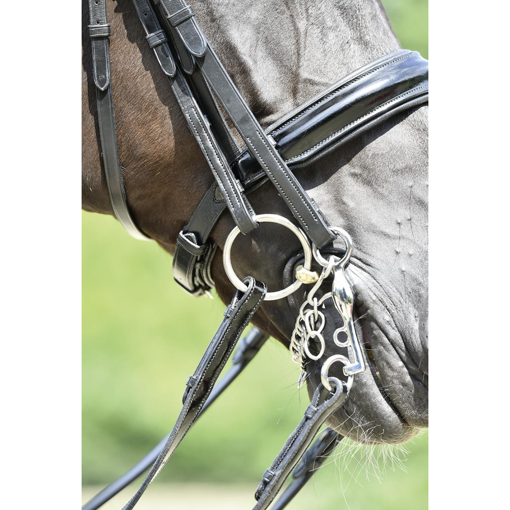 Neusriem Massa Kandare ST Zwart