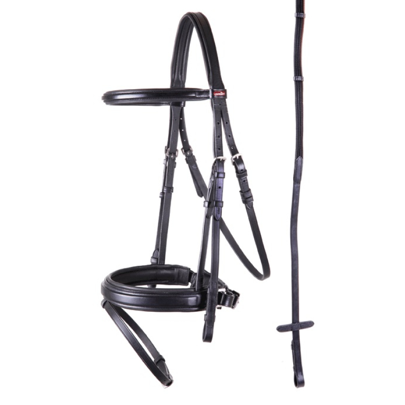 Premiere Hoofdstel Toulon