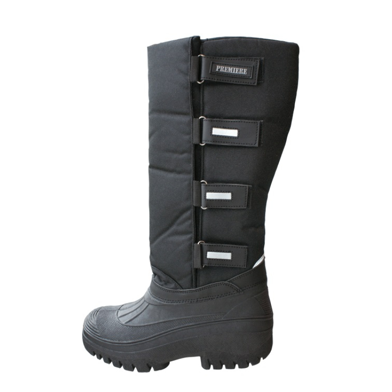 Premiere Thermo Laars