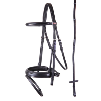 Premiere Hoofdstel Toulon