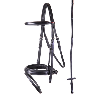 Premiere Hoofdstel Toulon