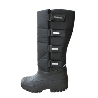 Premiere Thermo Laars