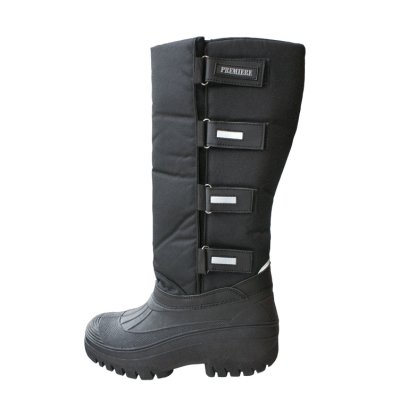 Premiere Thermo Laars