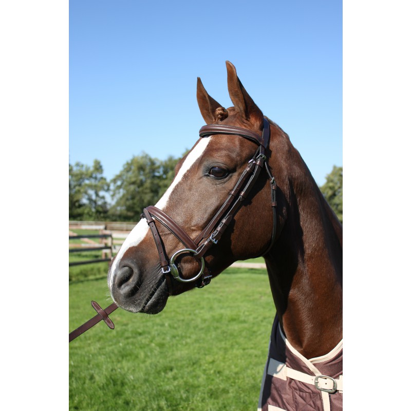 QHP Hoofdstel Inicio PONY