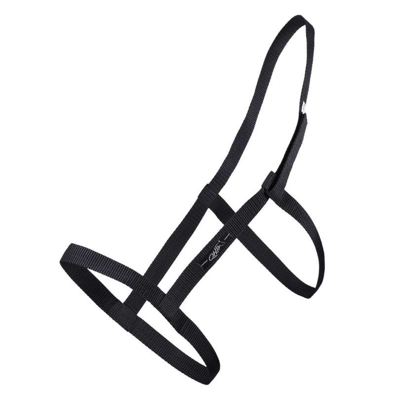 QHP Weidehalster FULL