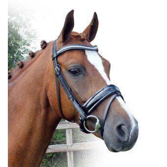 QHP Hoofdstel Poseidon