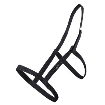 QHP Weidehalster FULL