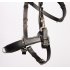Cavecon bridon en cuir