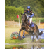 Eventing achterbeenbeschermers technical Zwart